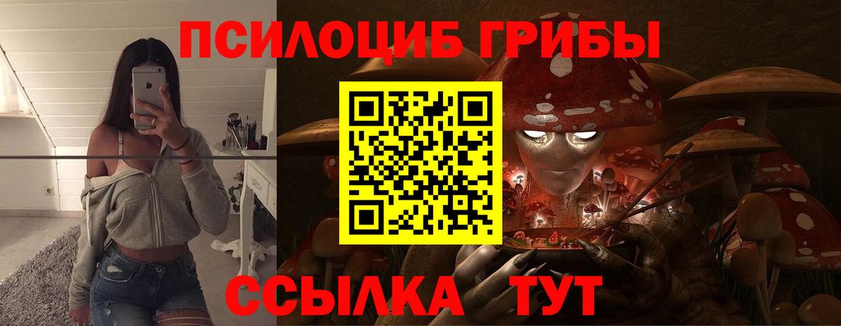 где можно купить   Псилоцибиновые грибы ЛСД  Тюмень  Псилоцибиновые грибы Psilocybine cubensis 