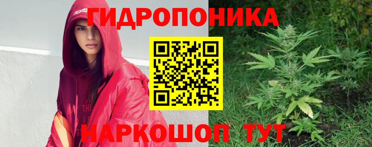 Конопля VHQ  Тюмень  Канабис LSD WEED  Бошки марихуана план 